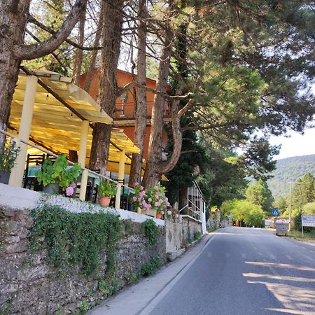 Hotel Toni Llogora Dukat Esterno foto